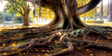 Tối ưu SEO Onpage